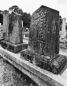 �����^�̕�