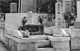 �����̕�̎ʐ^