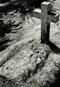 �L���V�^����