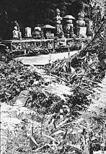 ���n�̑m���̕�