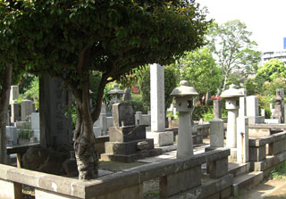 �W���������Y�̕�